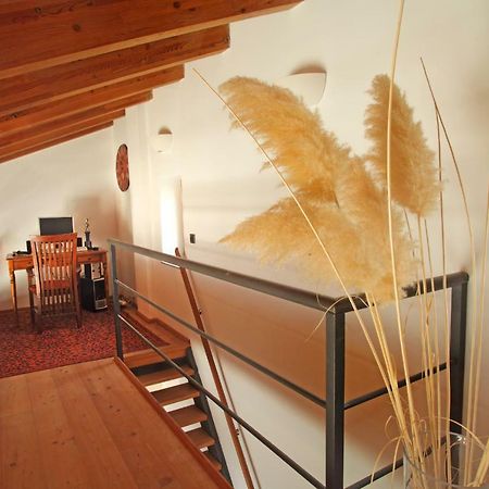Spacious Villa In Parecag With A Swimming Pool Sečovlje エクステリア 写真