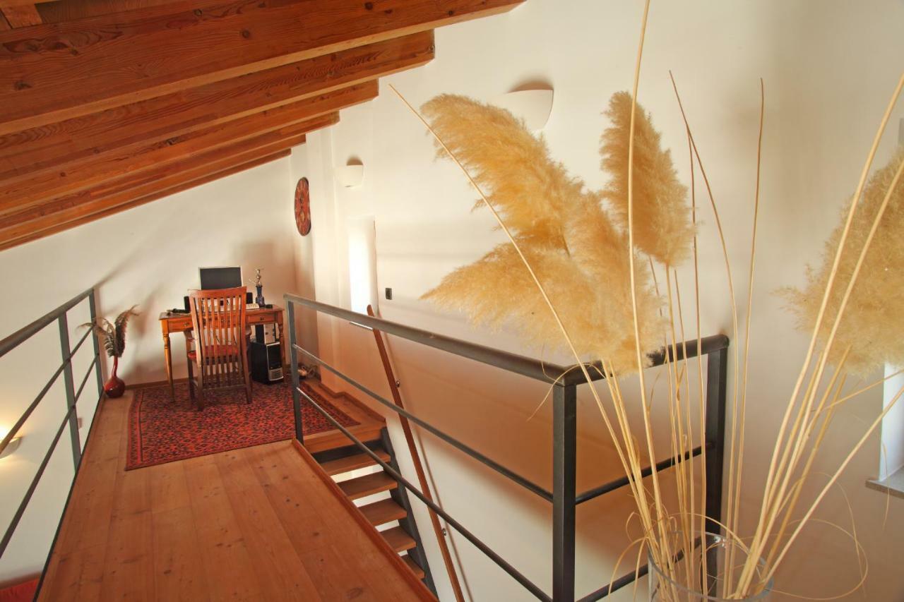 Spacious Villa In Parecag With A Swimming Pool Sečovlje エクステリア 写真
