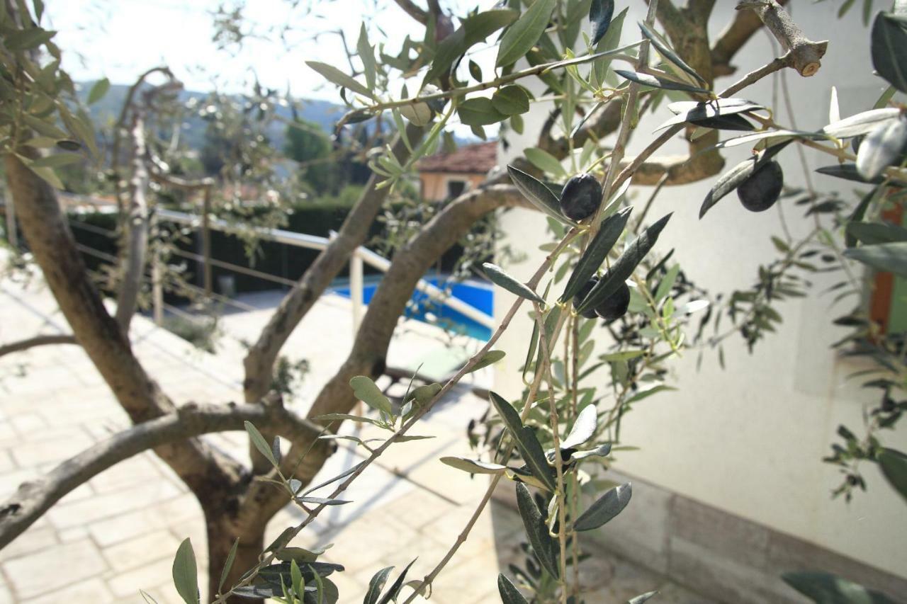 Spacious Villa In Parecag With A Swimming Pool Sečovlje エクステリア 写真