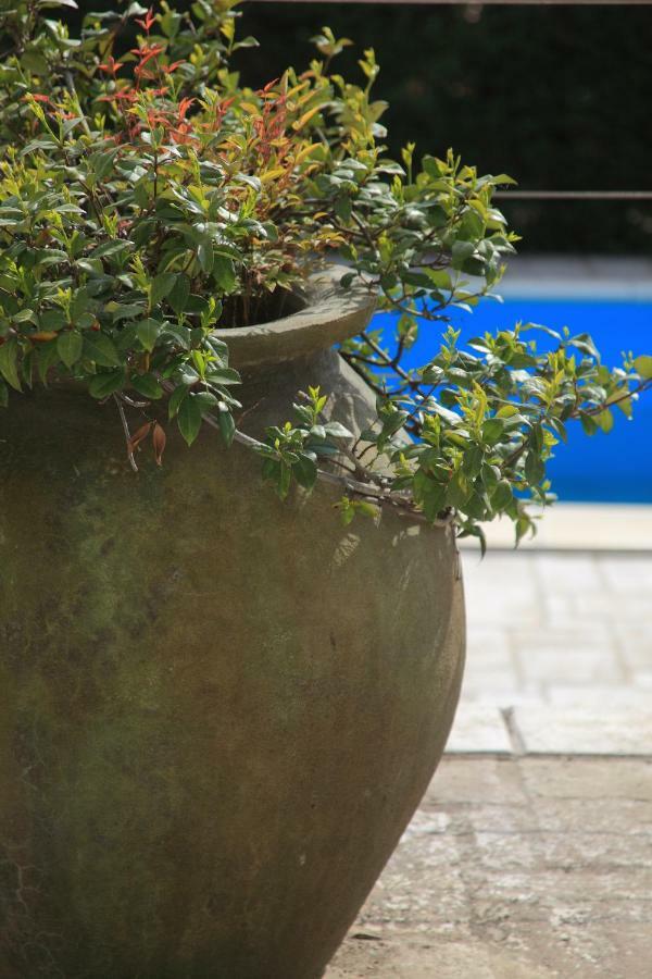 Spacious Villa In Parecag With A Swimming Pool Sečovlje エクステリア 写真